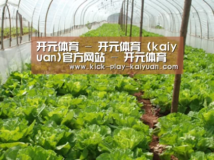 种植基地五